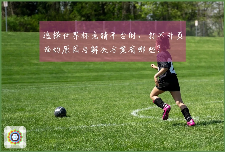 选择世界杯竞猜平台时，打不开页面的原因与解决方案有哪些？