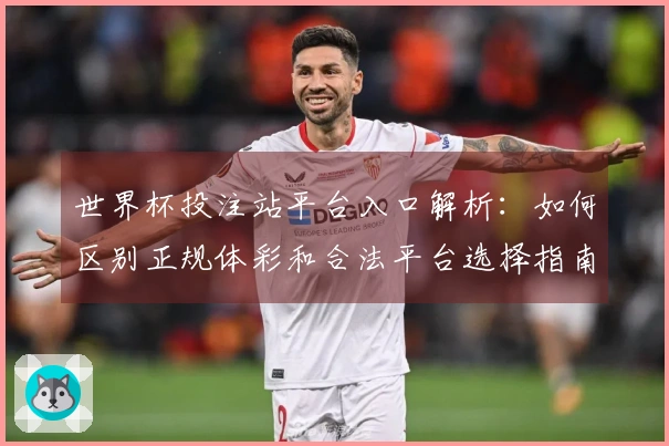 世界杯投注站平台入口解析：如何区别正规体彩和合法平台选择指南