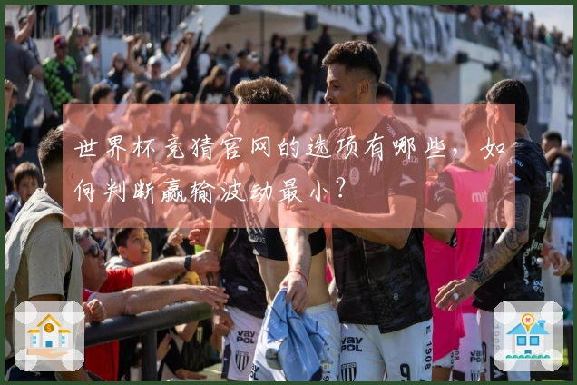 世界杯竞猜官网的选项有哪些，如何判断赢输波动最小？