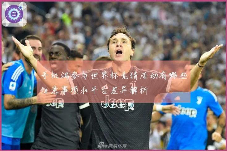 手机端参与世界杯竞猜活动有哪些注意事项和平台差异解析
