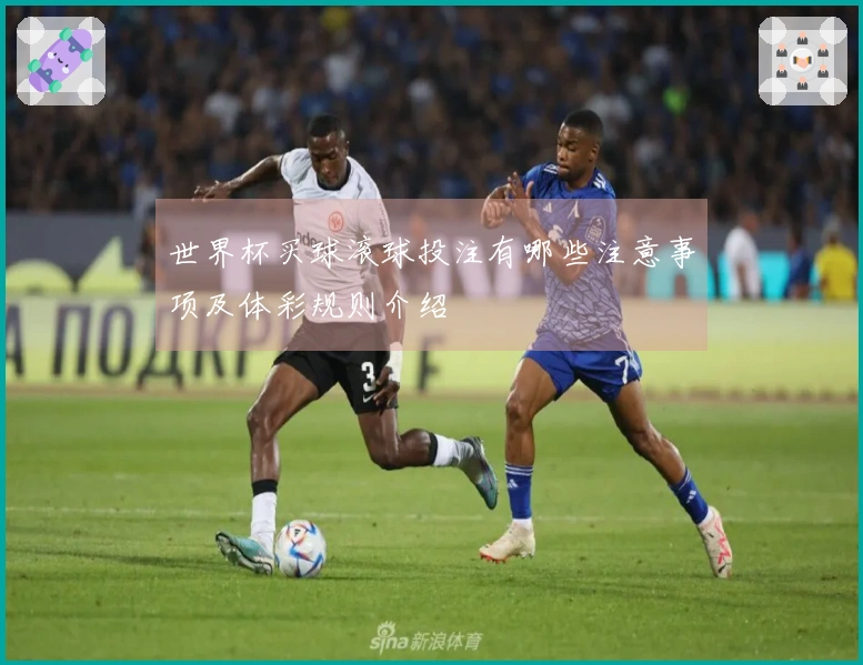 世界杯买球滚球投注有哪些注意事项及体彩规则介绍