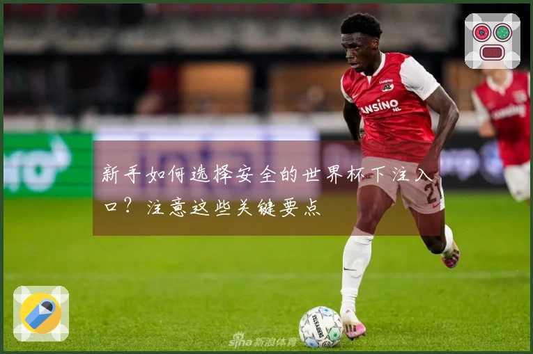 新手如何选择安全的世界杯下注入口？注意这些关键要点