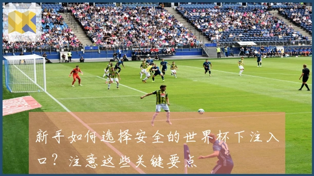 新手如何选择安全的世界杯下注入口?注意这些关键要点