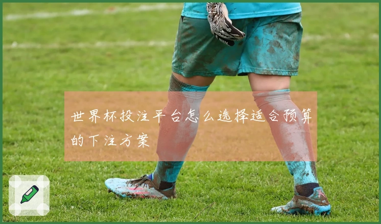 世界杯投注平台怎么选择适合预算的下注方案