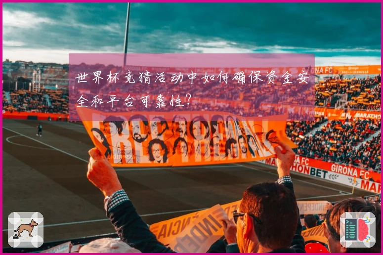 世界杯竞猜活动中如何确保资金安全和平台可靠性？